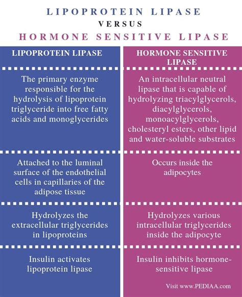 lipoproteinlipase|lipoprotein lipase vs hormone sensitive.